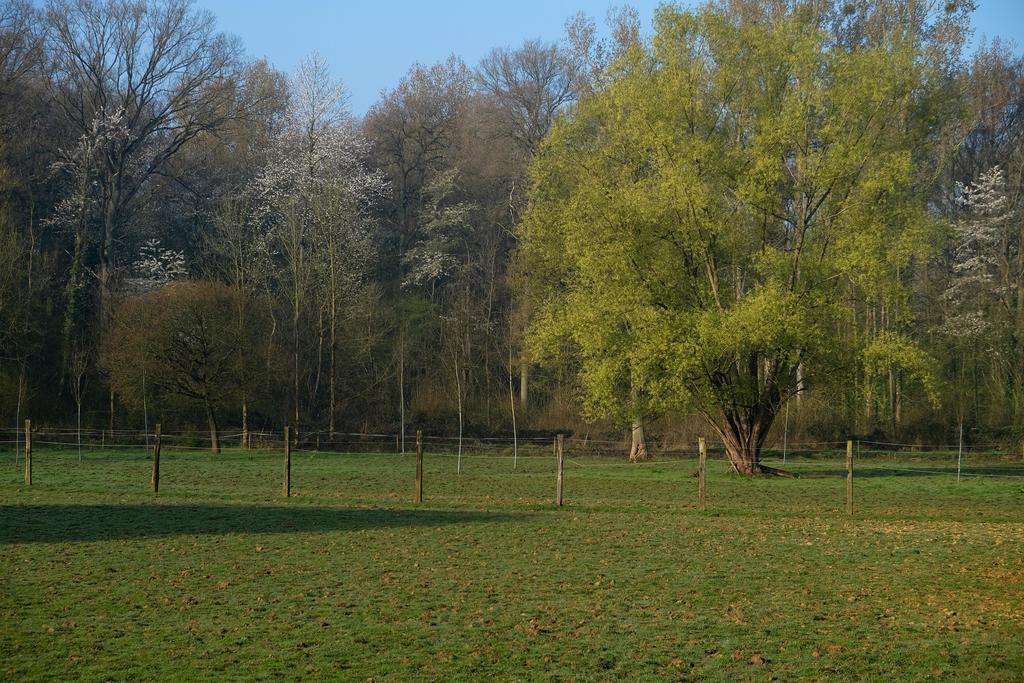 B&B Silentium Tielt Dış mekan fotoğraf