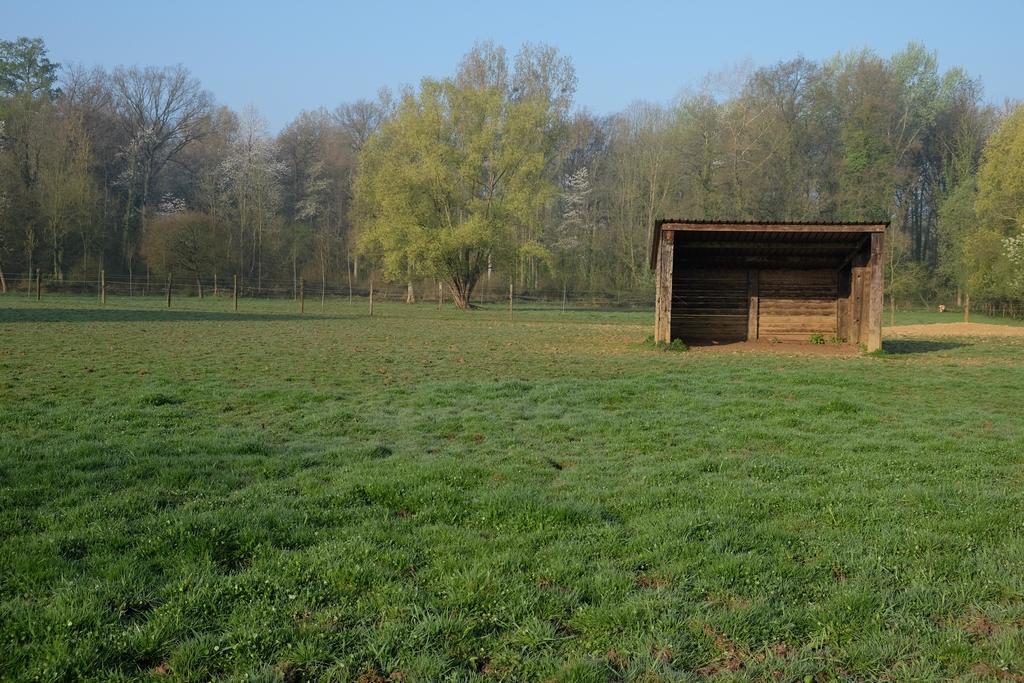 B&B Silentium Tielt Dış mekan fotoğraf
